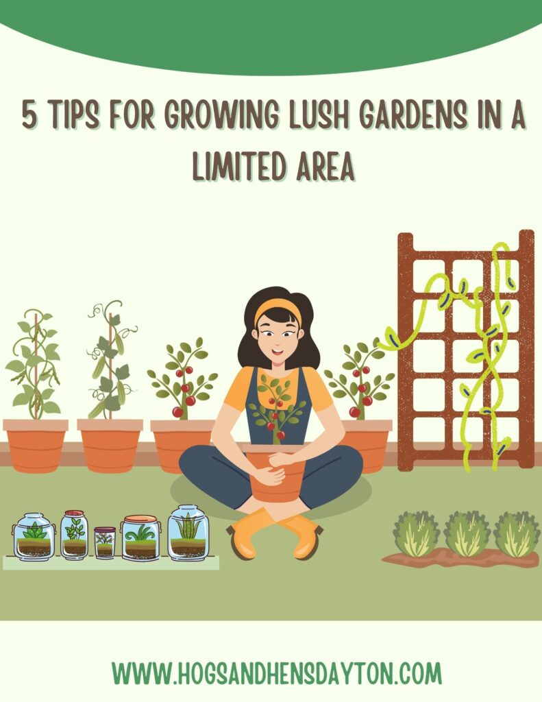 Growing in a small space is made easier with these 5 tips