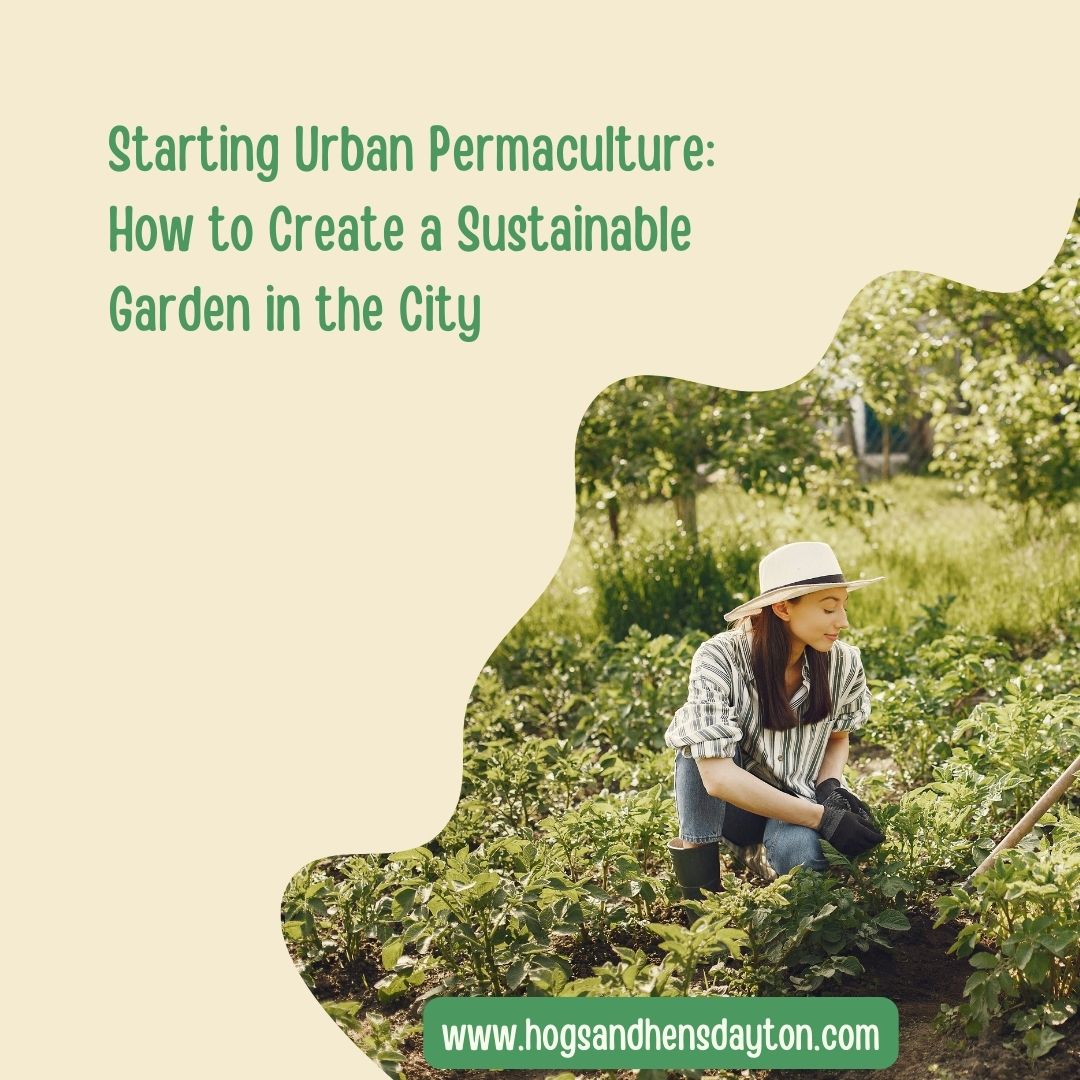 Learn how to get started in urban permaculture