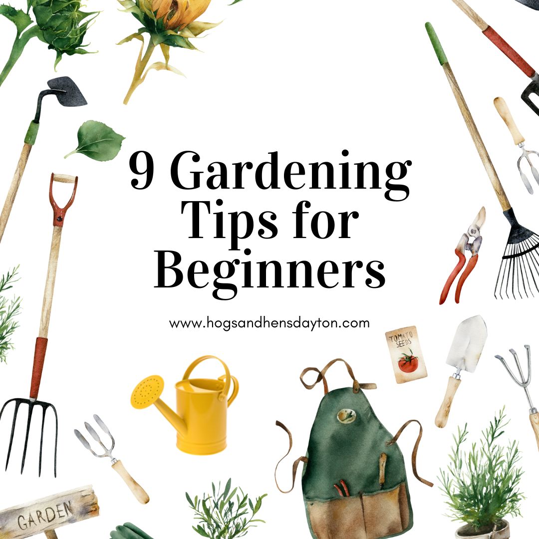 9 Gardening Tips for Beginners