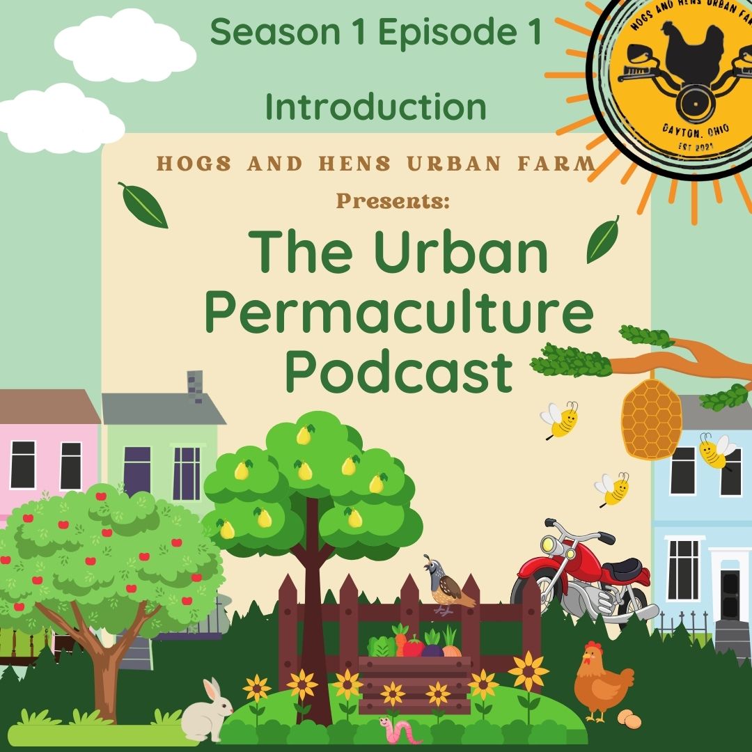 Episode 13: Permaculture and Homesteading in an Apartment or Dorm Room