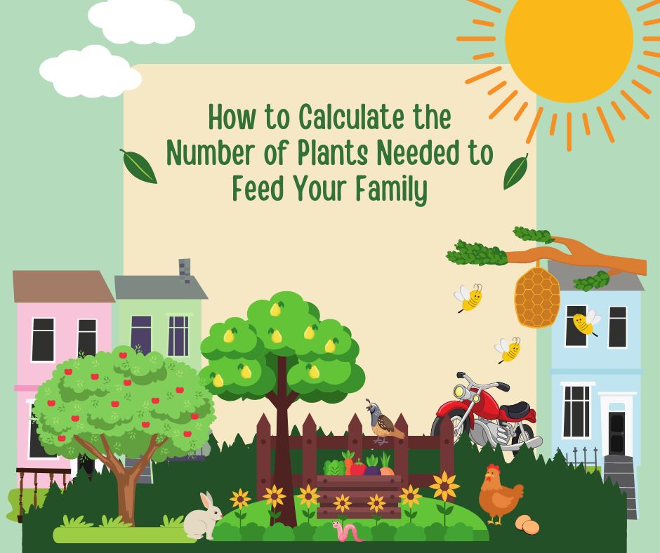 How to Calculate the Number of Plants Needed to Feed Your Family