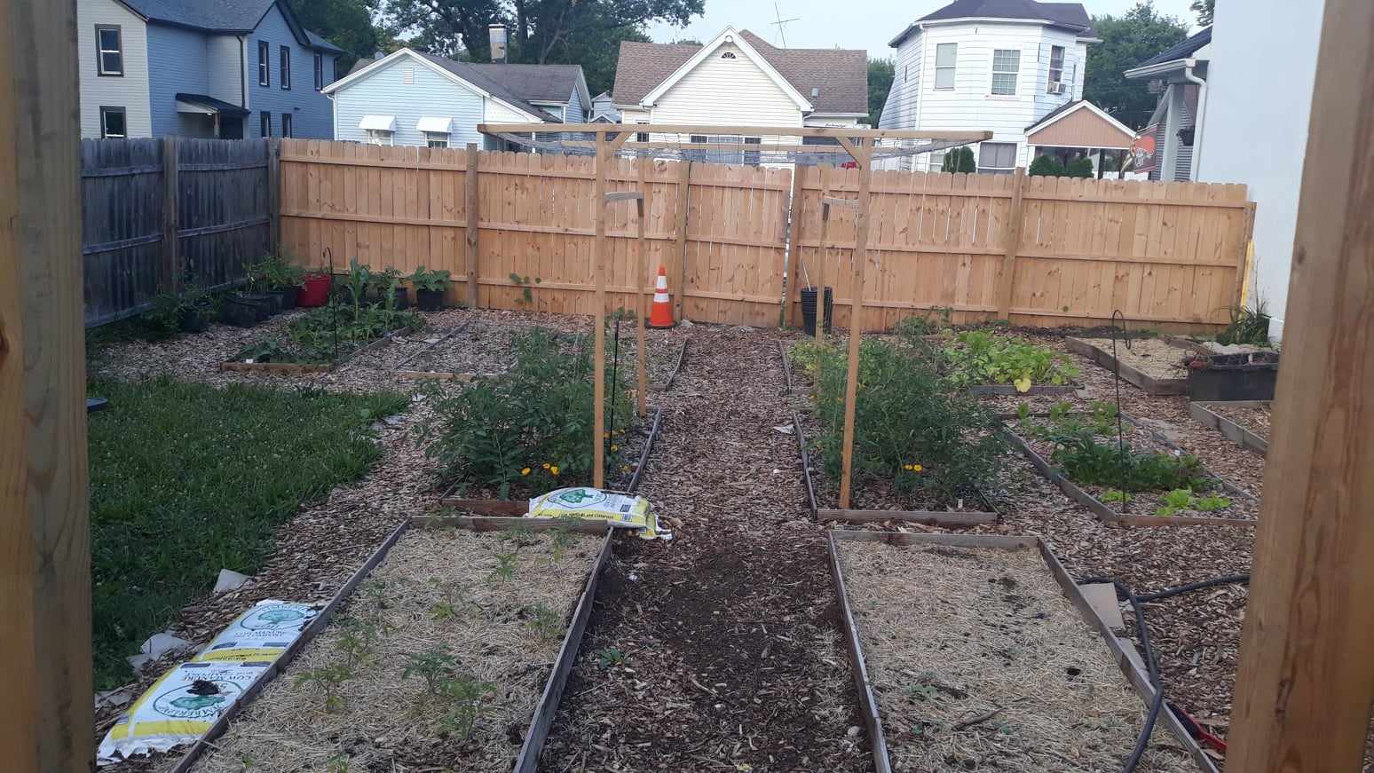 The Power of Diversity in Permaculture: Creating Nature’s All-Star Growth Team