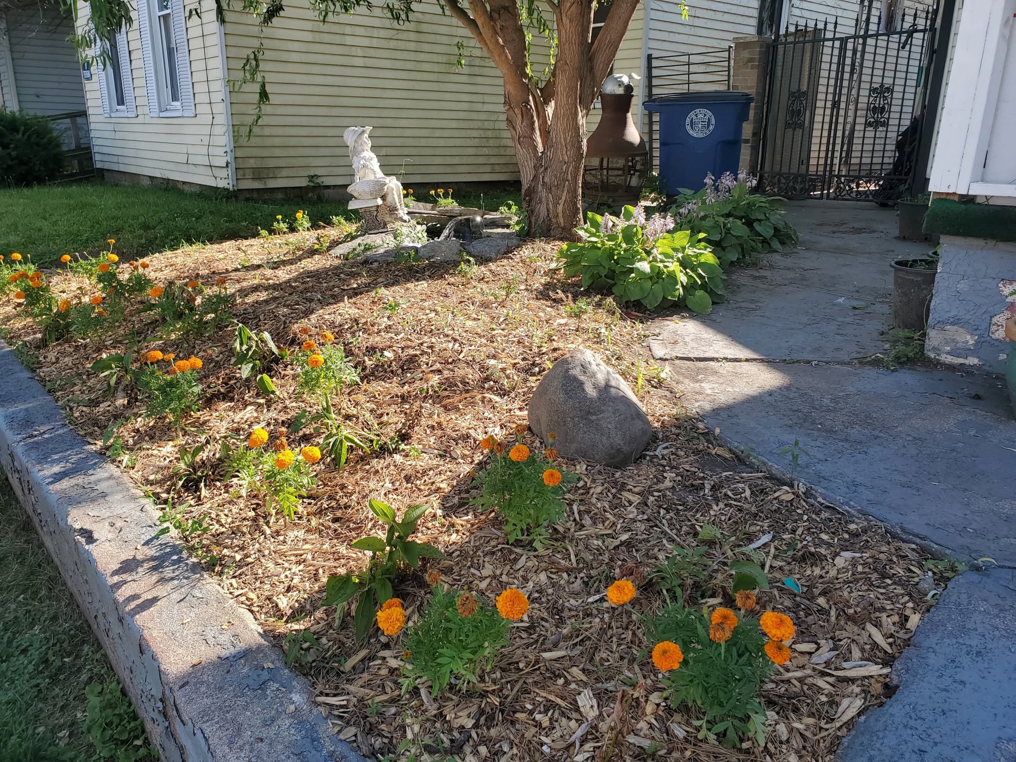Embracing Slow Changes for Lasting Growth
