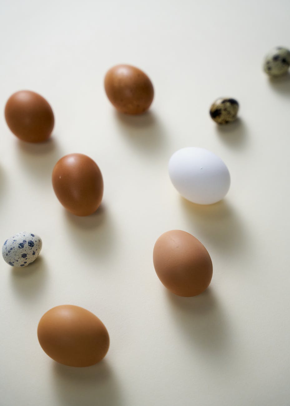 What in the World is a Lash Egg?